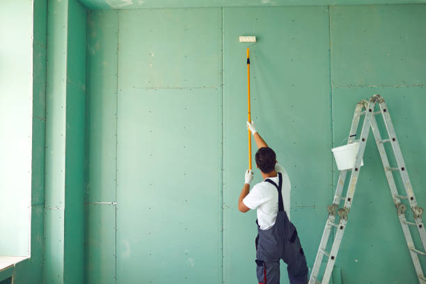 Best Forensic Mold Investigation  in Bellevle, IL