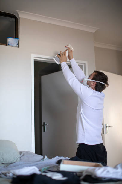 Best Dehumidification Services  in Bellevle, IL