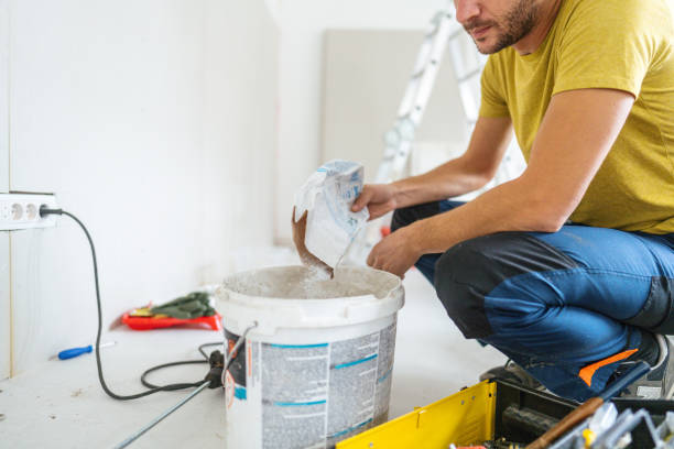 Mold Remediation for Rental Properties in Belleville, IL