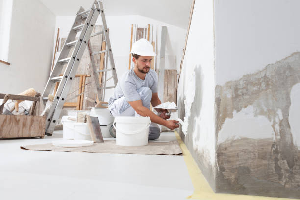 Best Commercial Mold Inspection  in Bellevle, IL