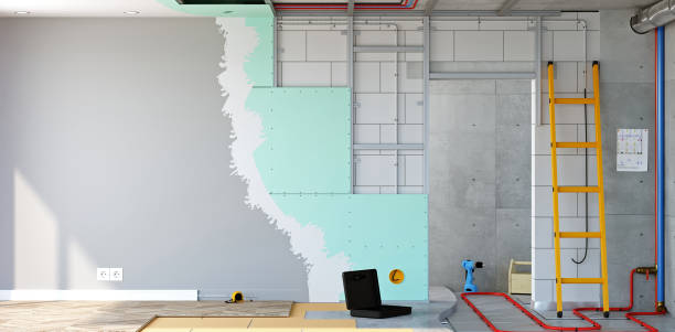 Best Biohazard Mold Removal  in Bellevle, IL