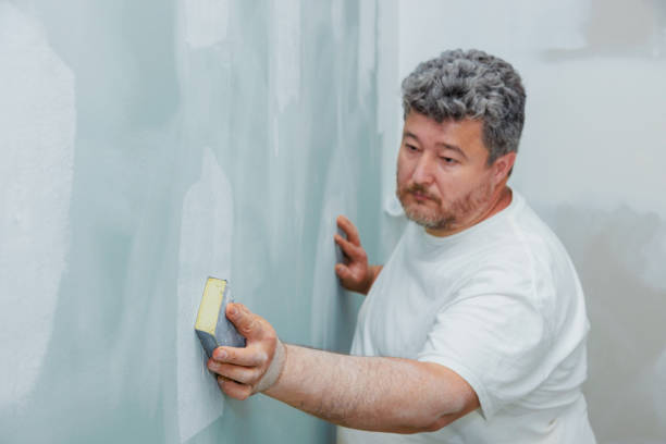 Forensic Mold Investigation in Belleville, IL