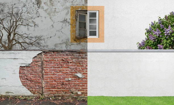 Best Post-Construction Mold Inspection  in Bellevle, IL