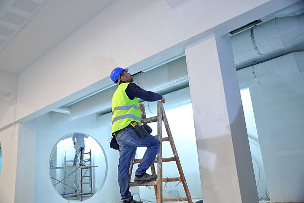 Reliable Belleville, IL Mold Removal Solutions