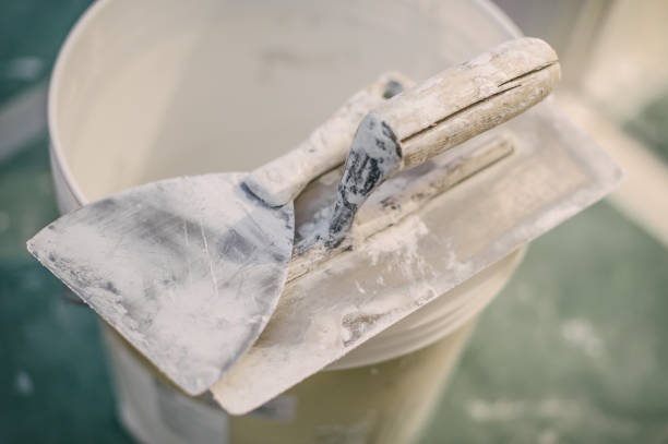 Best Mold Odor Removal Services  in Bellevle, IL