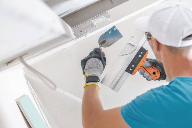 Best Environmental Consulting for Mold Prevention  in Bellevle, IL